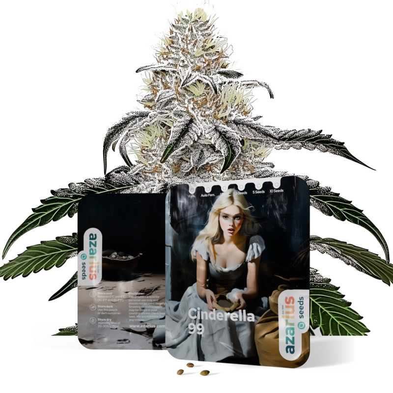 Cinderella 99 Cinderella 99