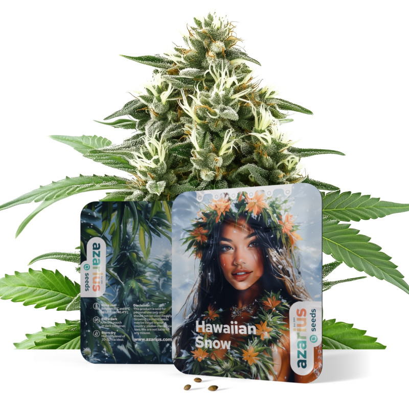 Hawaiian Snow Auto Hawaiian Snow Auto