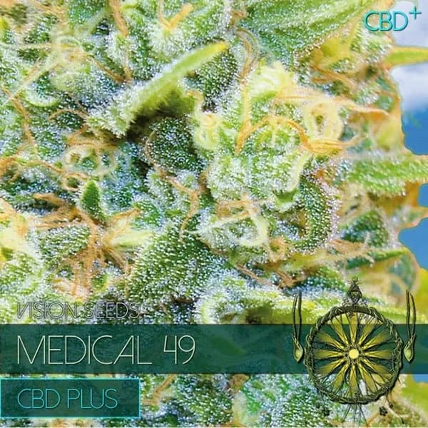 Medical 49
