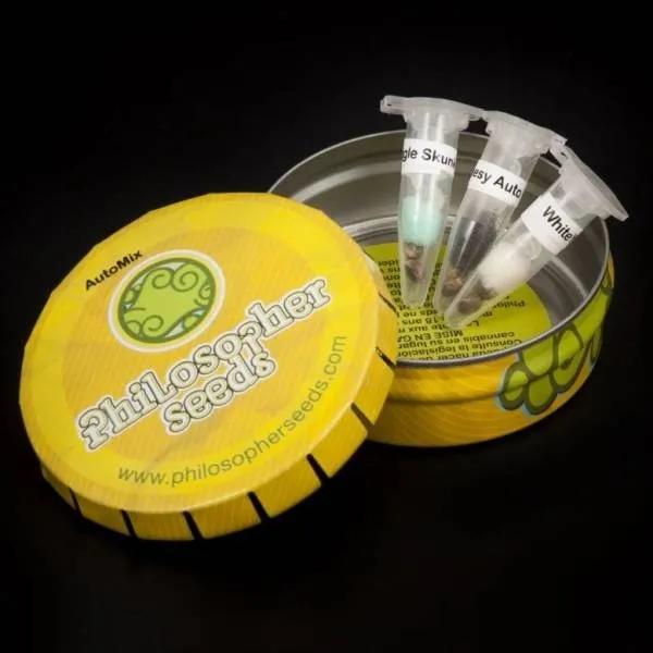 Auto Mix
