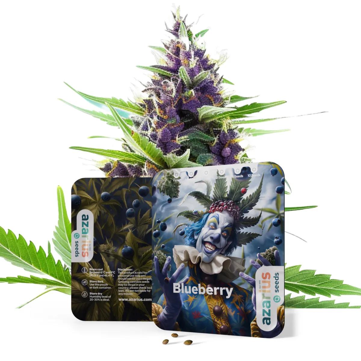 Blueberry Auto