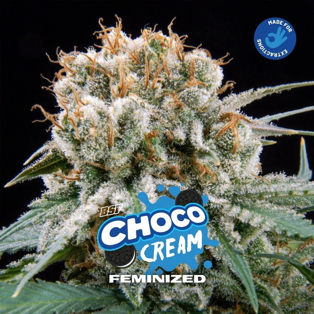 Choco Cream