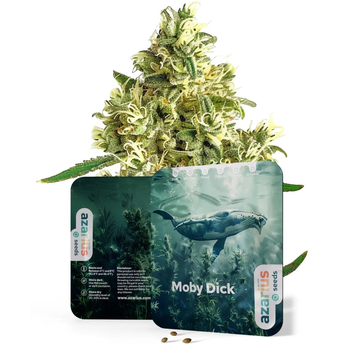 Moby Dick