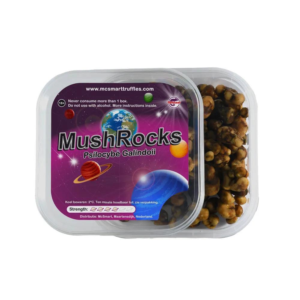 Tartufi Magici MushRocks