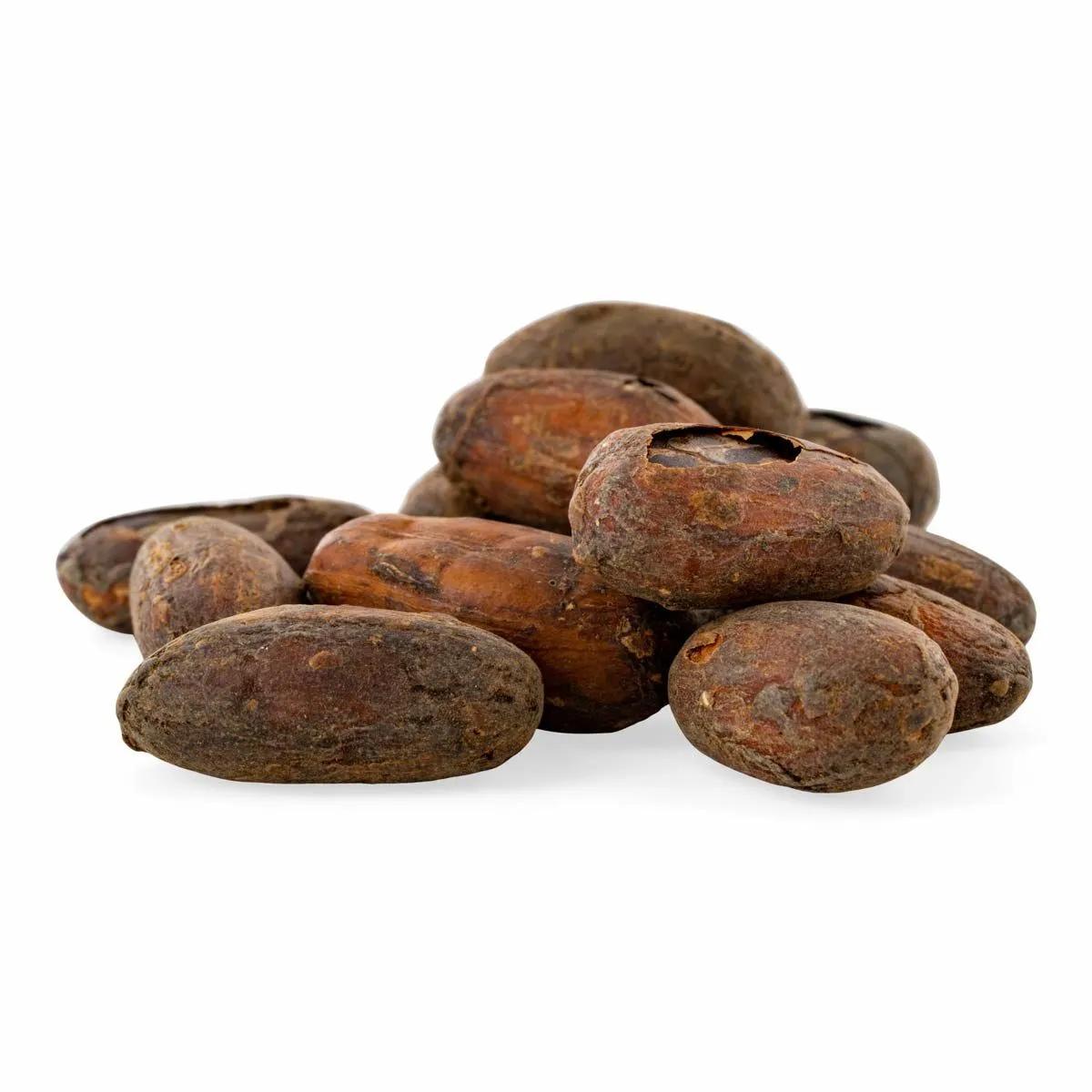 Fave di Cacao Crudo Biologiche RAW