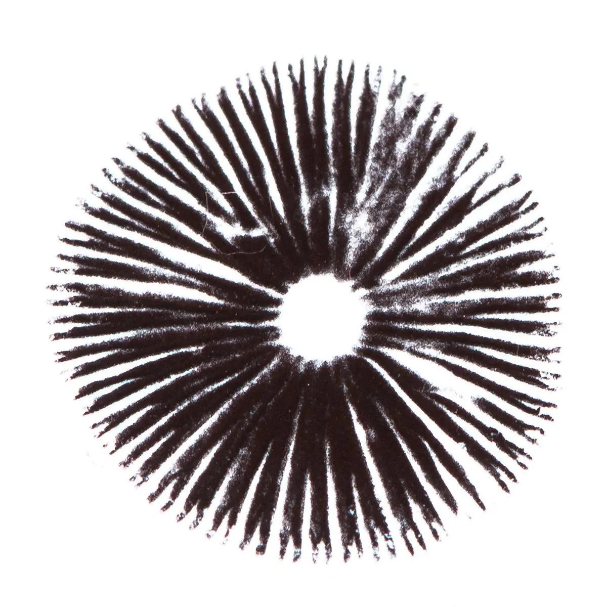 Stampa di spore Psilocybe Cubensis Golden Teacher