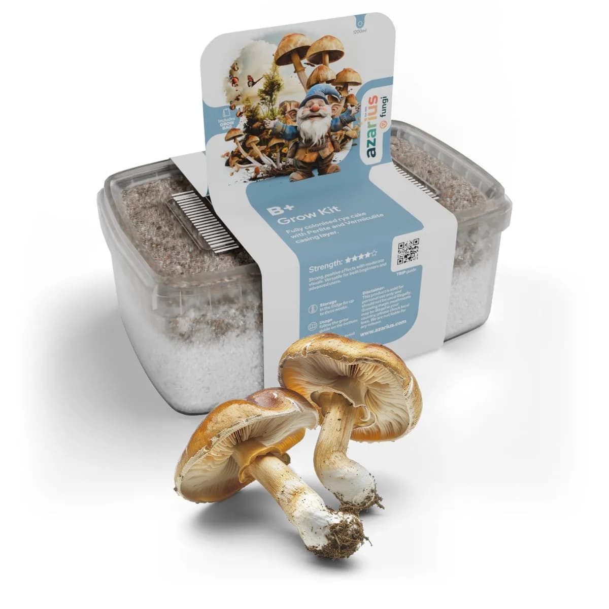 Funghi B+