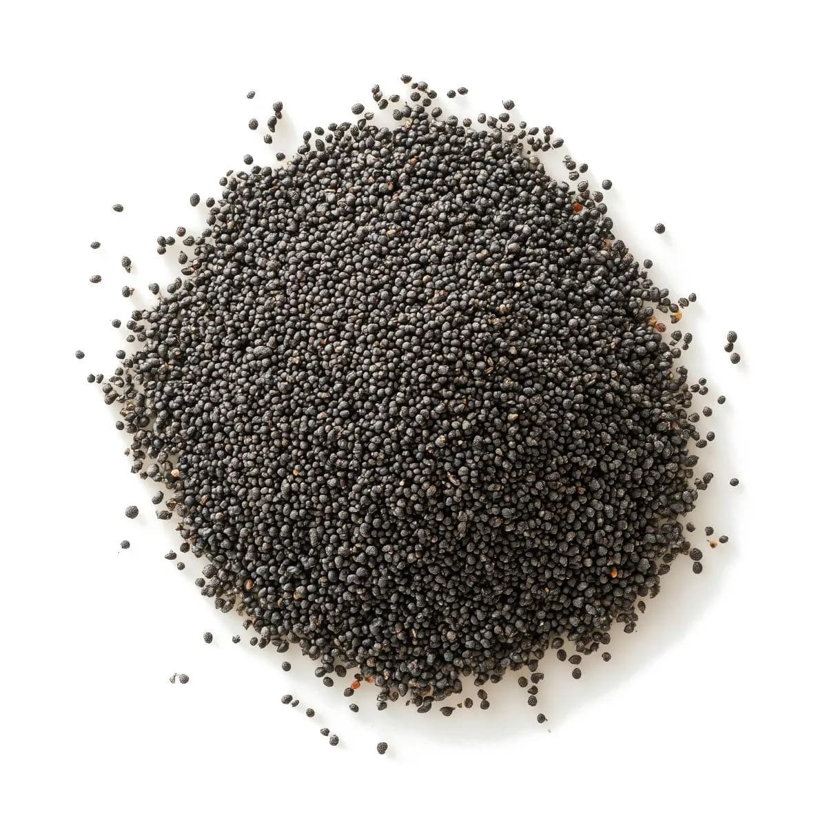 Semi di papavero