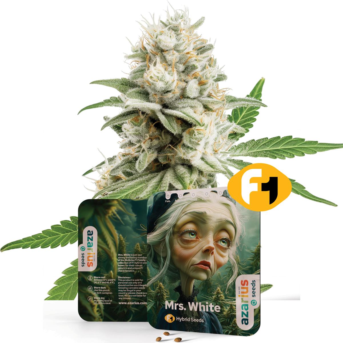 Mrs. White F1
