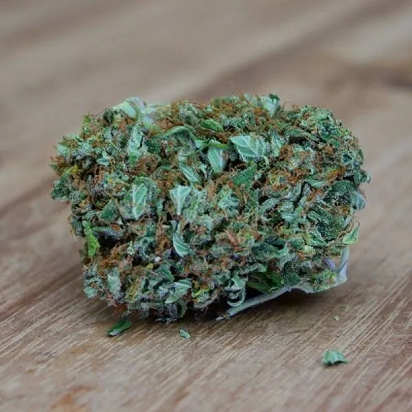 Amnesia Ganja Haze — immagine 3