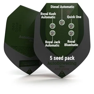 Autoflowering Mix — immagine 3