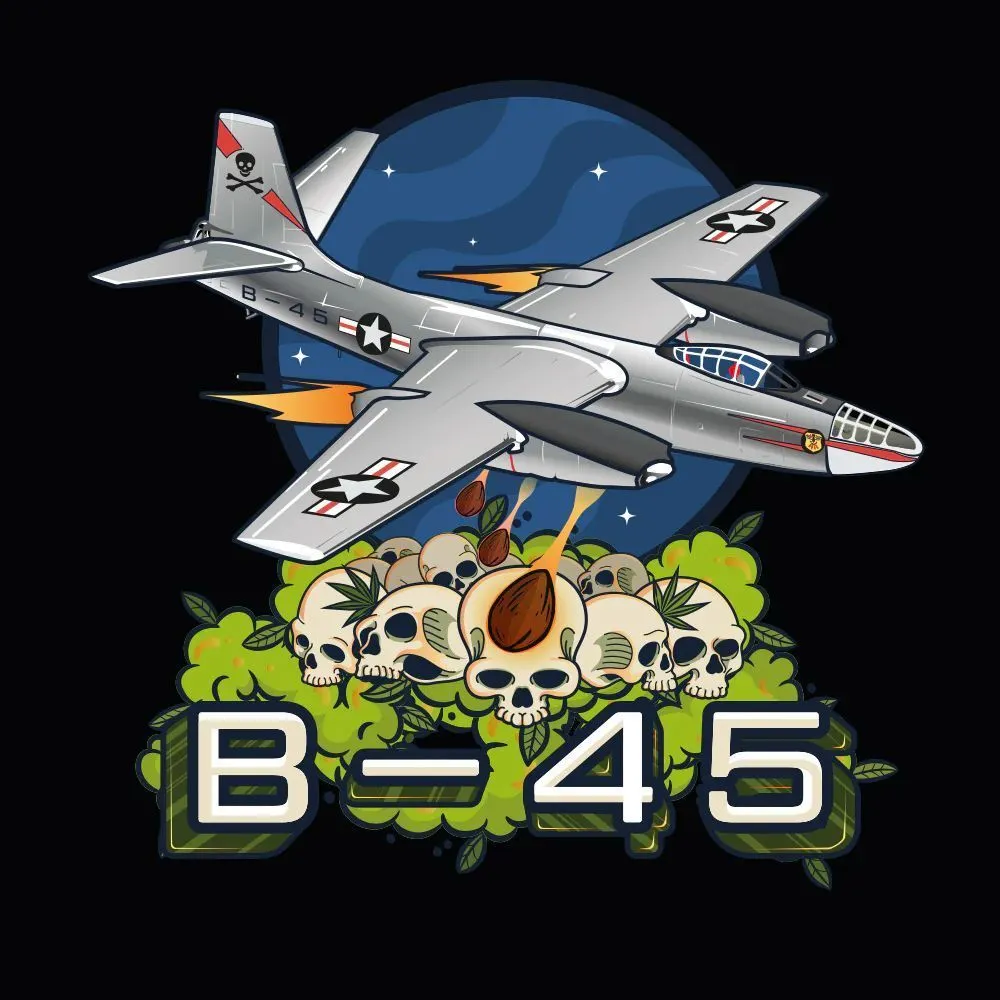B-45 by Booba — immagine 2