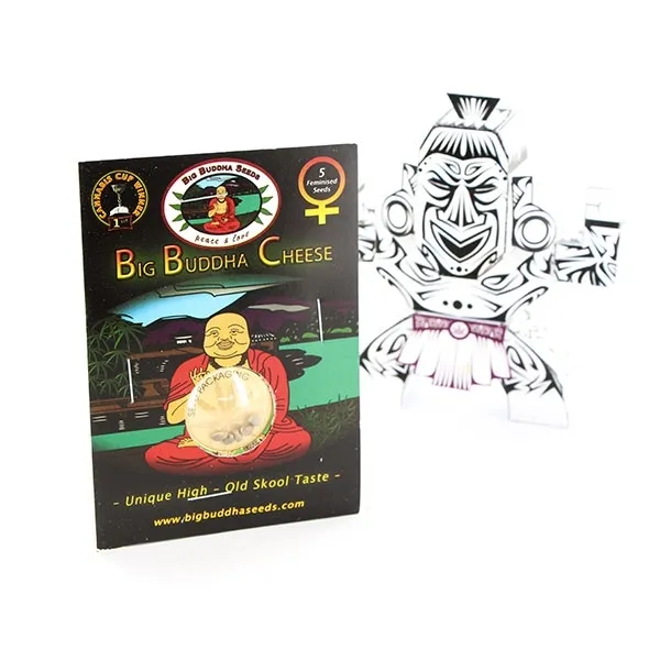Big Buddha Cheese — immagine 3