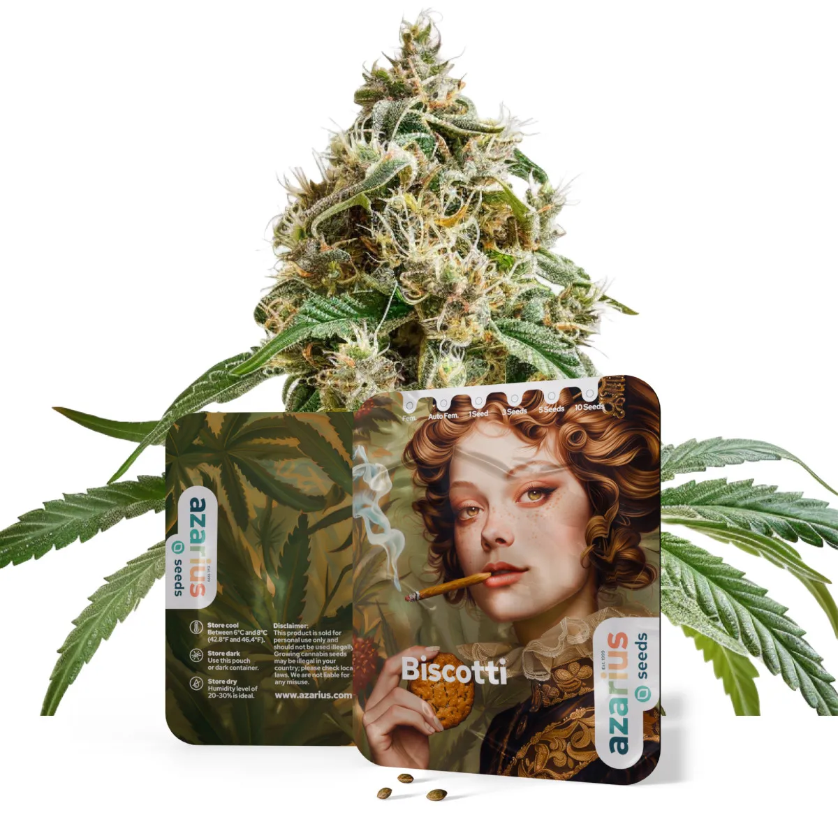Biscotti Auto