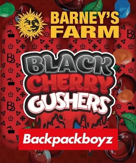 Black Cherry Gushers (Barney's Farm x Backpackboyz) — immagine 4