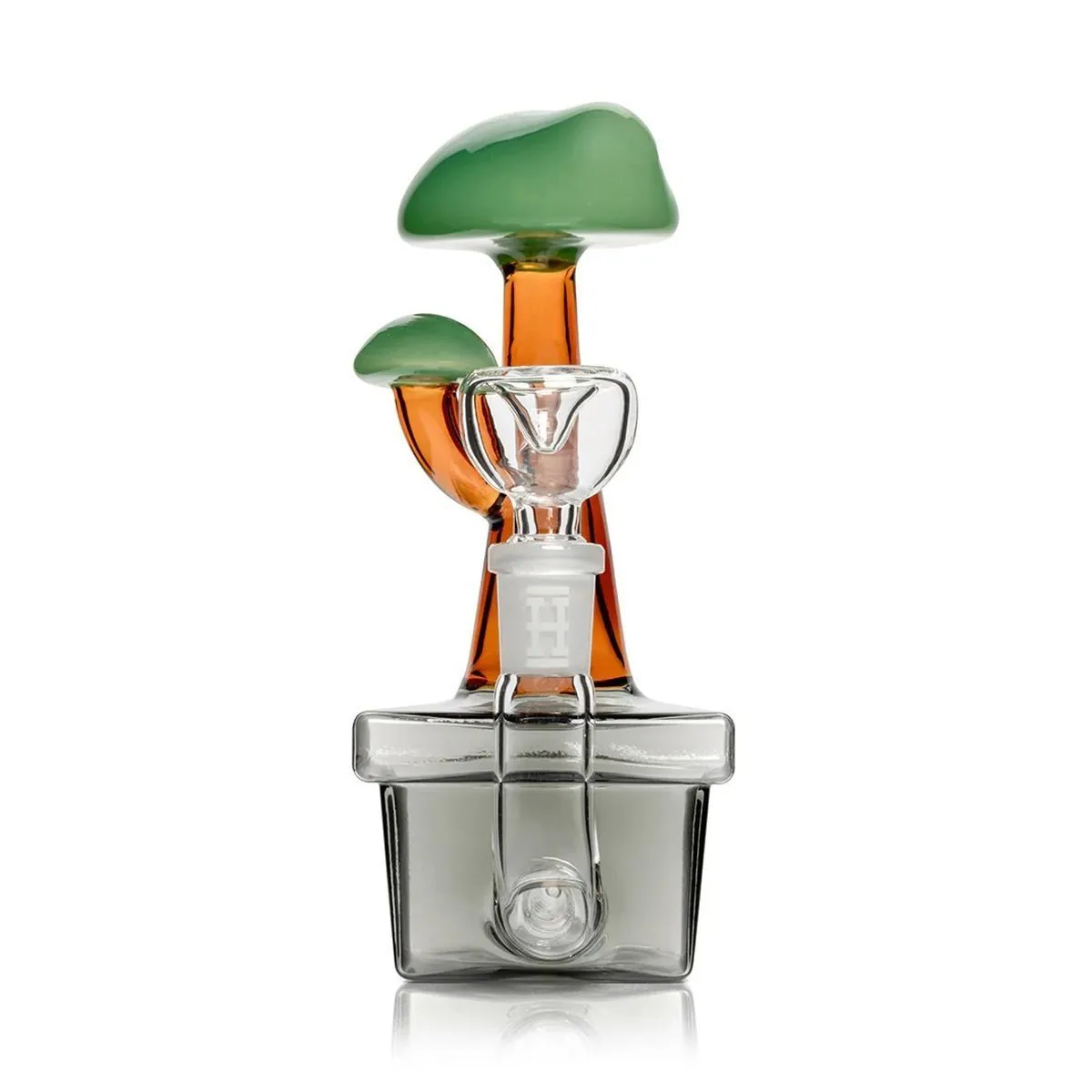 Bong Bonsai — immagine 4