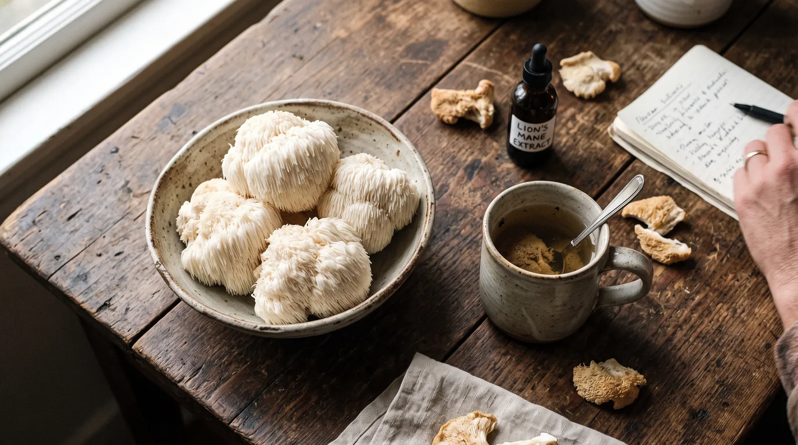 AZARIUS · 1. Lion's Mane — quello che si prende per la concentrazione