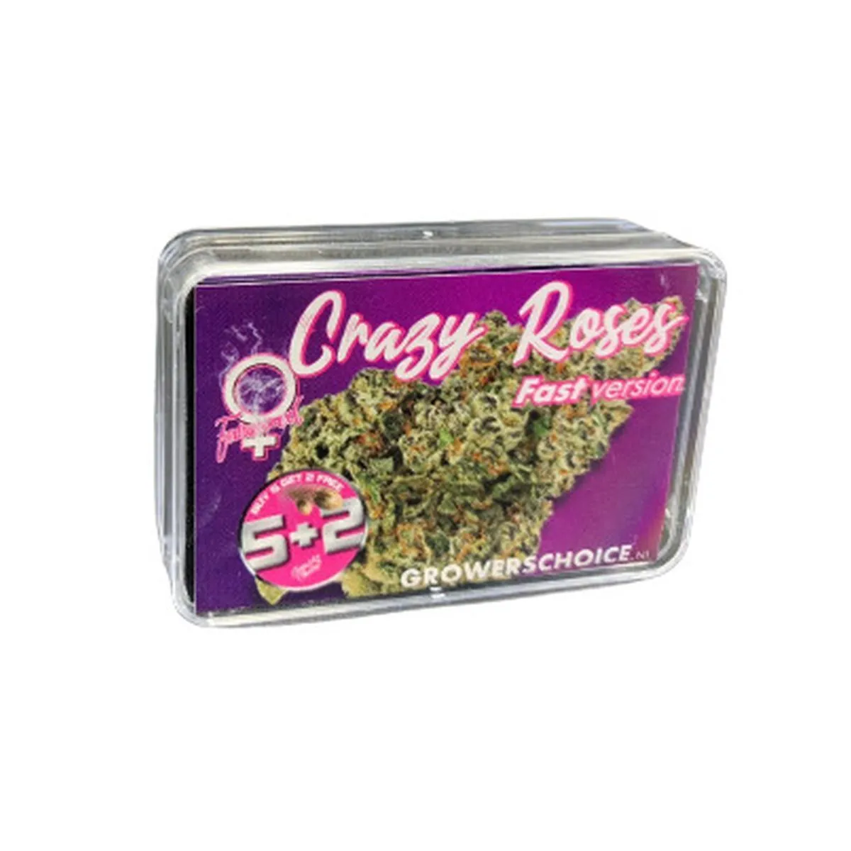 Crazy Roses Fast Version — immagine 2