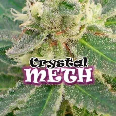 Crystal M.E.T.H.