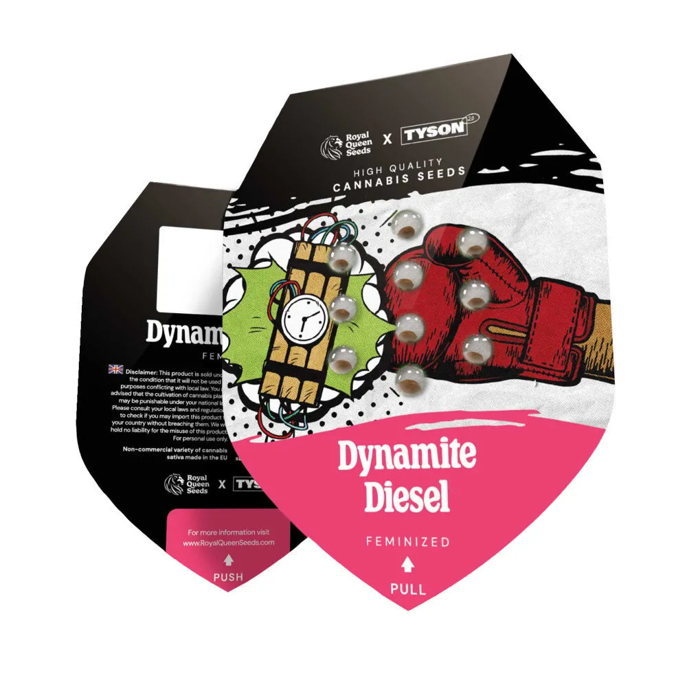 Dynamite Diesel — immagine 2