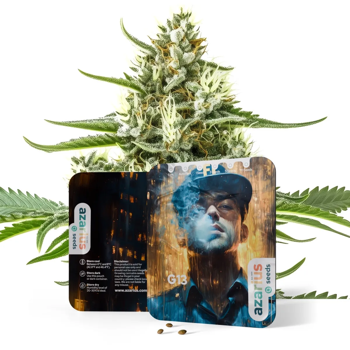 G13