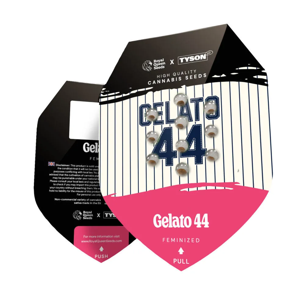 Gelato 44 — immagine 2