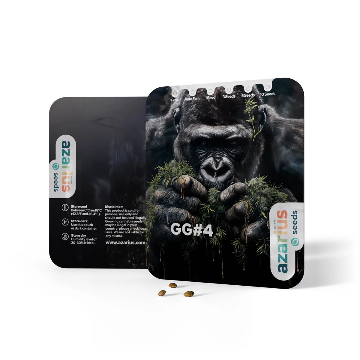 GG4 Auto — immagine 3