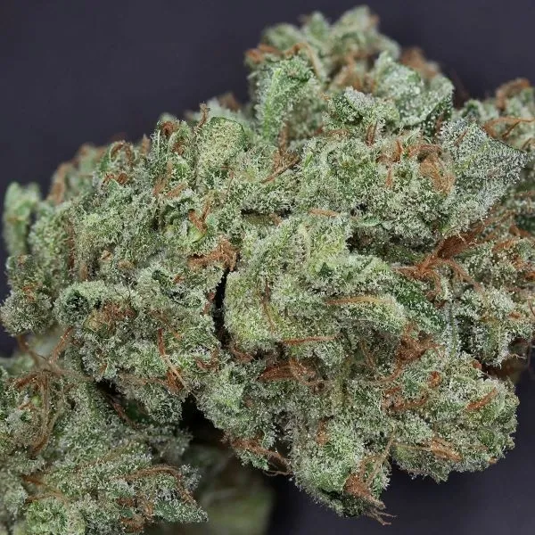Ghost Train Haze 1 — immagine 3