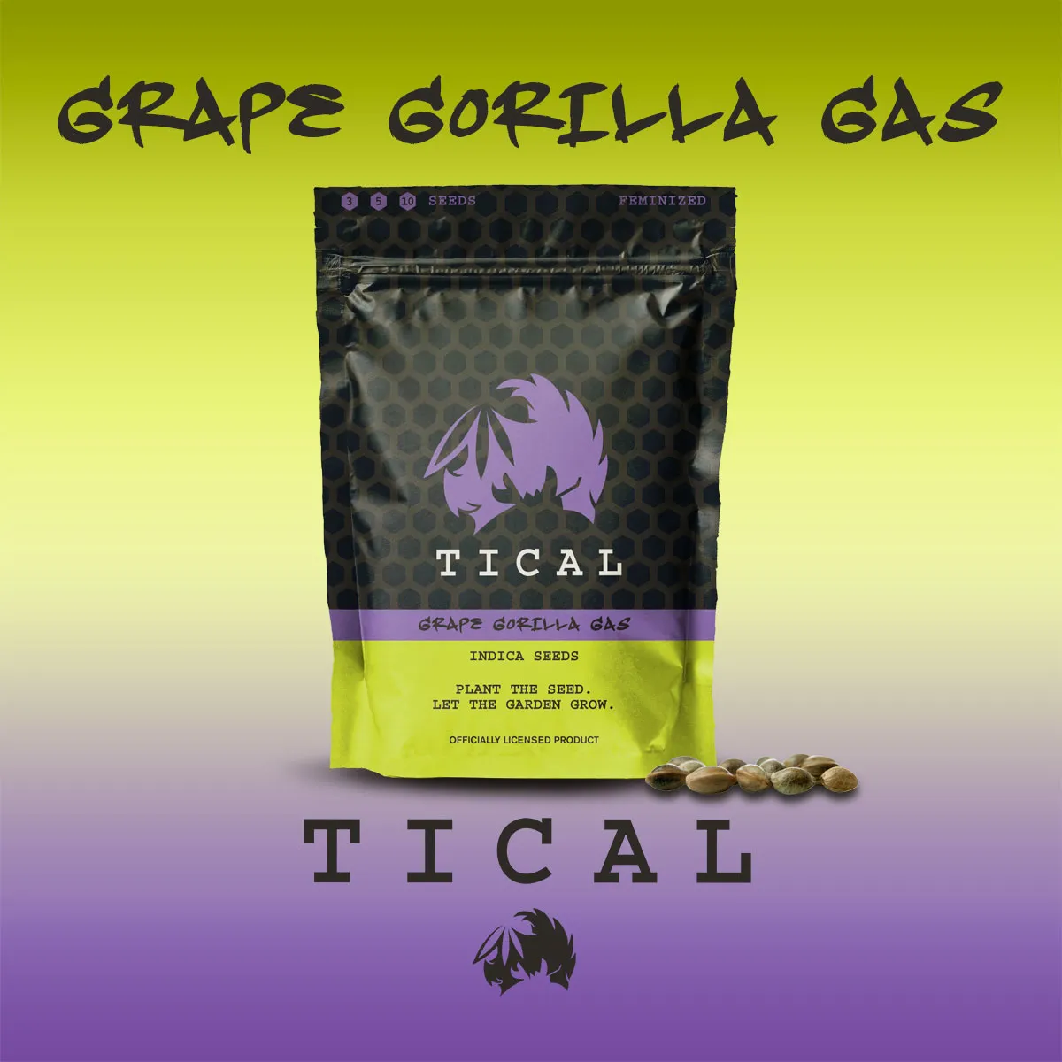 Grape Gorilla Gas (TICAL) — immagine 2