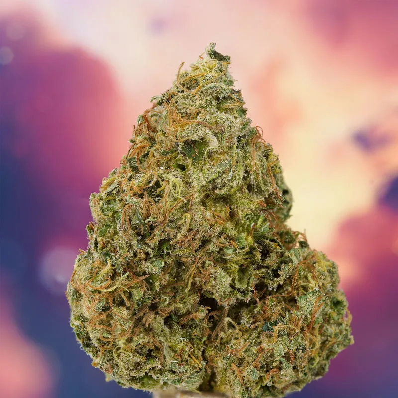 Ice Cream Haze — immagine 2