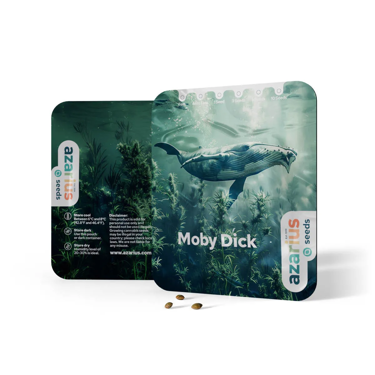 Moby Dick Auto — immagine 3
