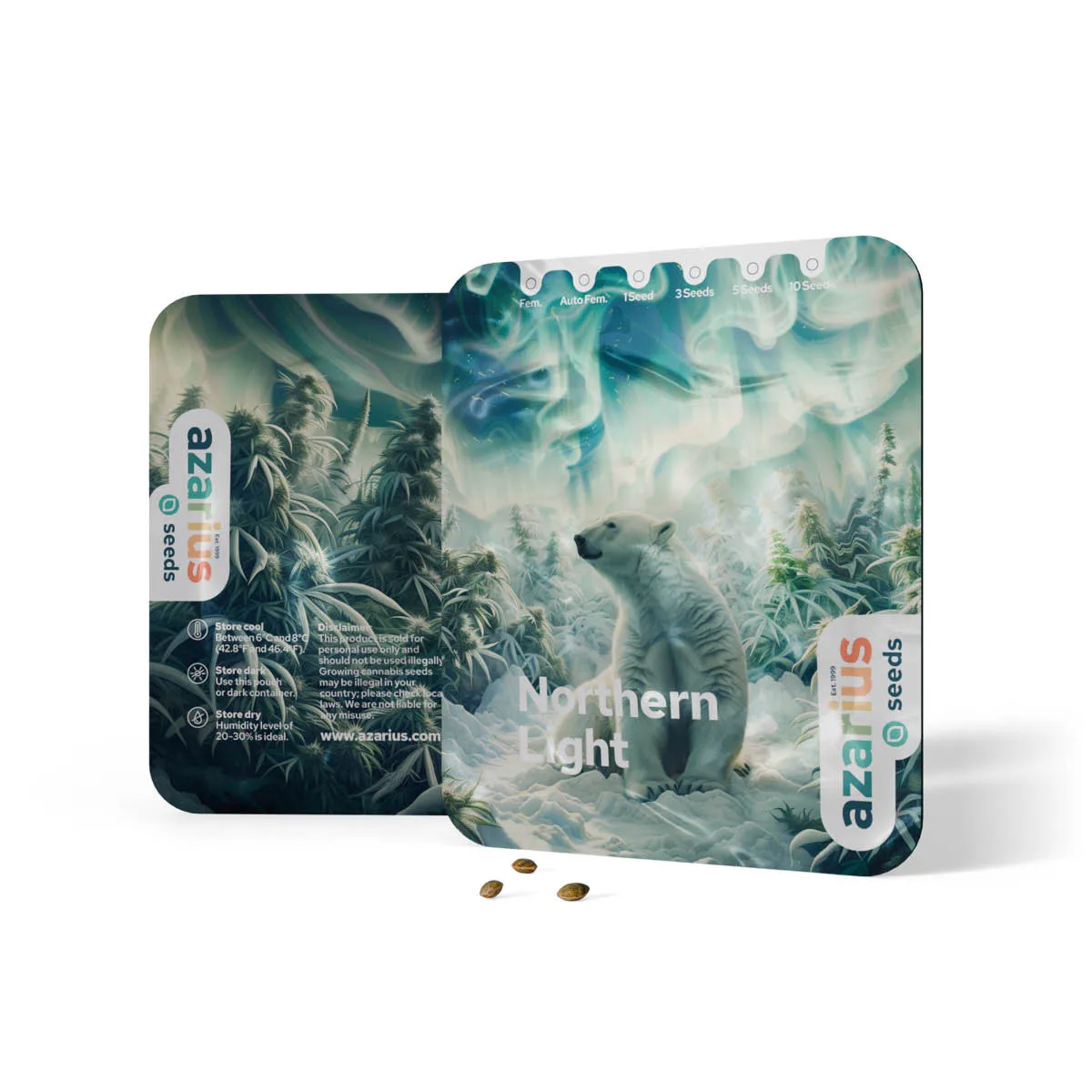 Northern Lights — immagine 3