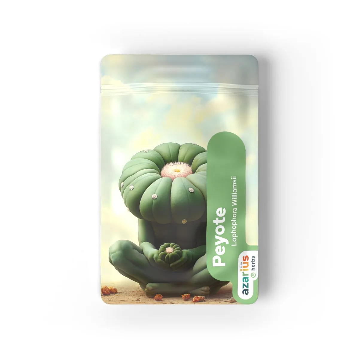 Semi di Peyote — immagine 3