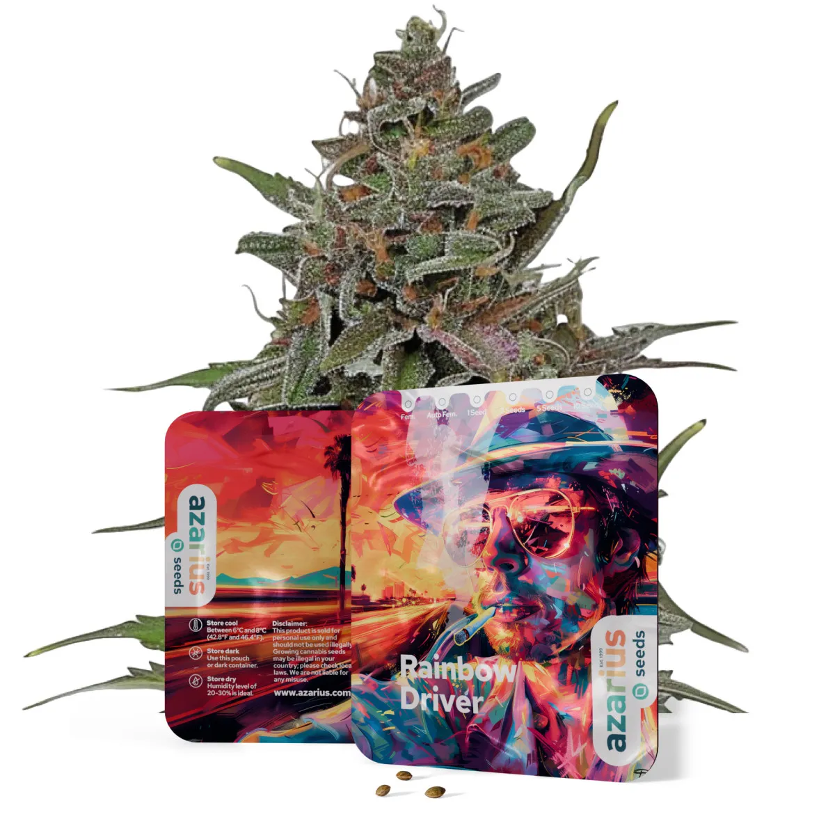 Rainbow Driver Auto