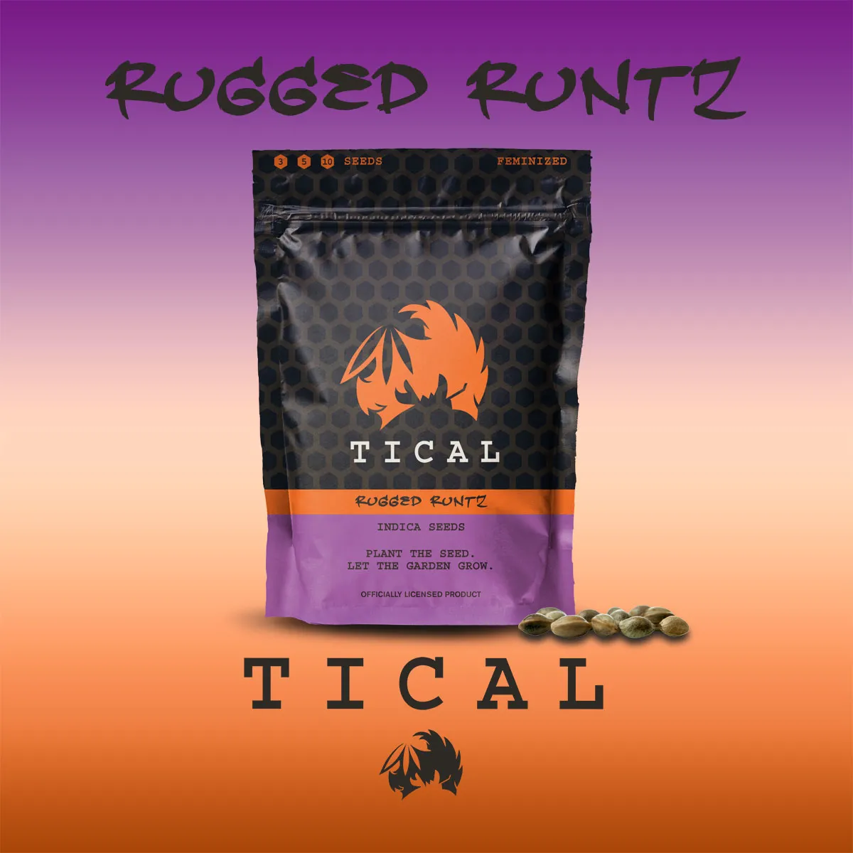 Rugged Runtz (TICAL) — immagine 2