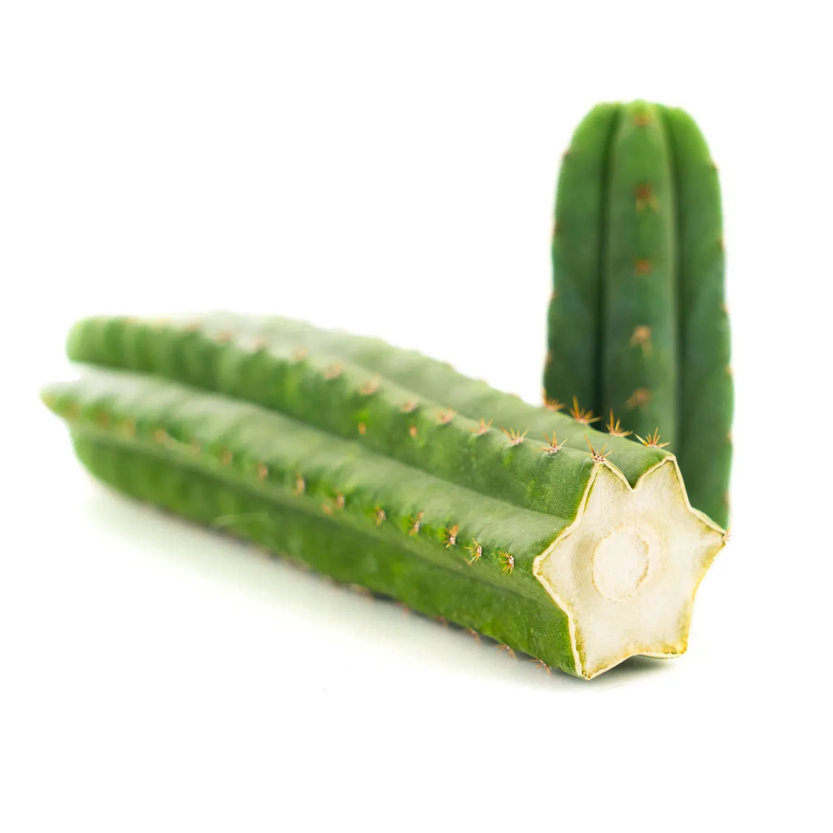 San Pedro — immagine 2