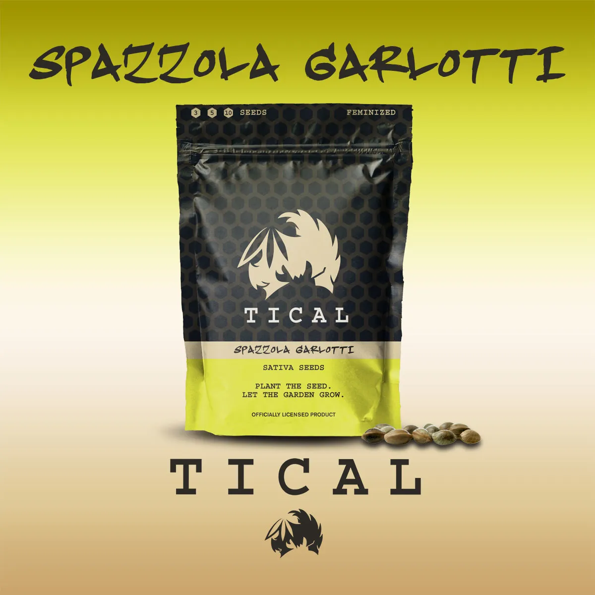 Spazzola Garletti (TICAL) — immagine 2