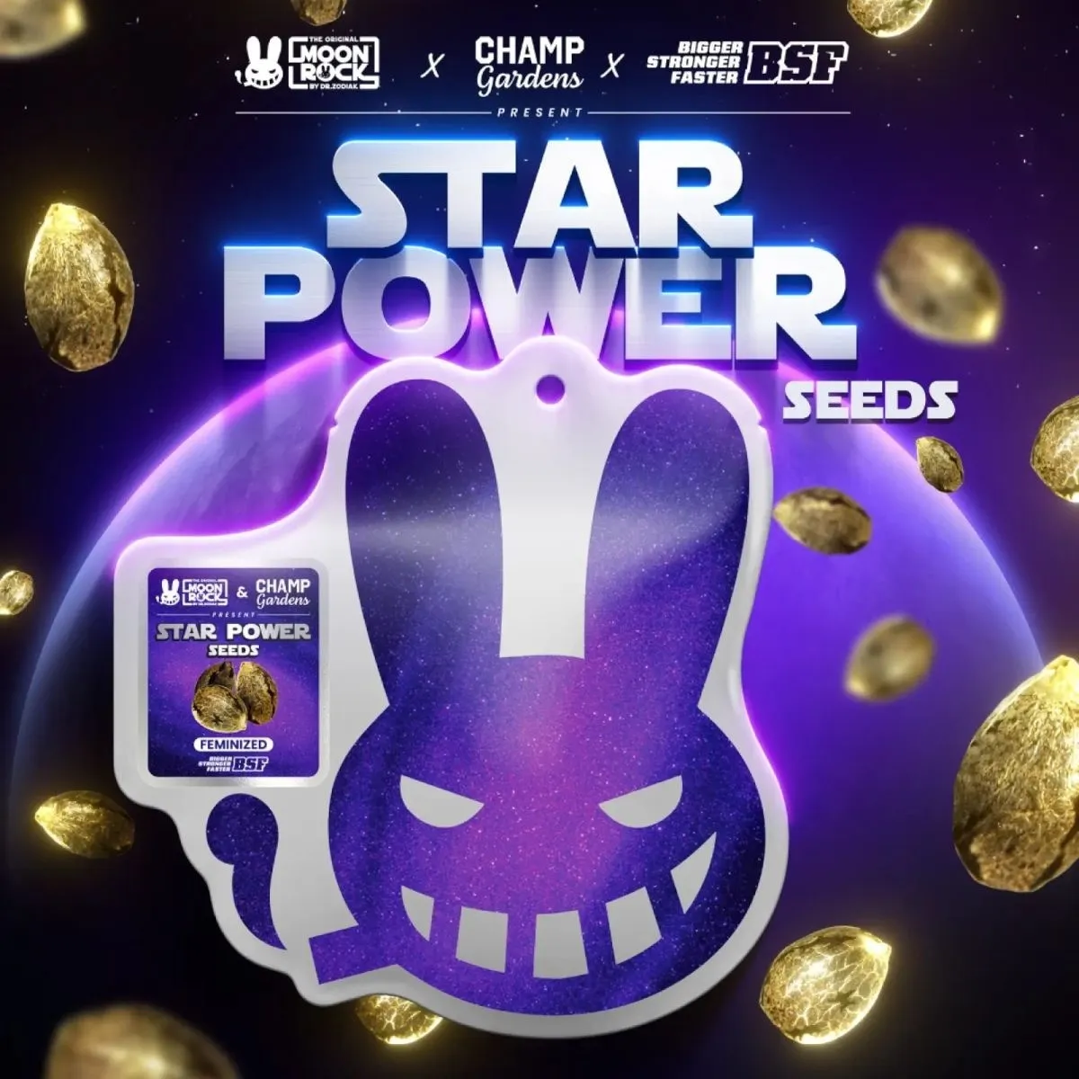 Star Power (BSF Seeds x Moon Rock) — immagine 2