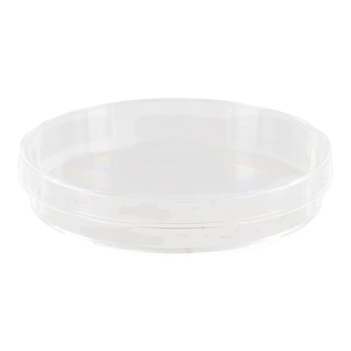 20 Piastre Petri in plastica sterili