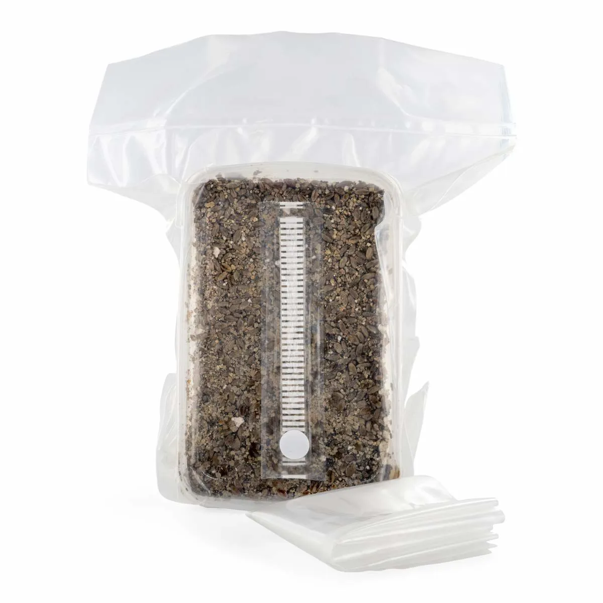 Kit di substrato sterilizzato — immagine 4
