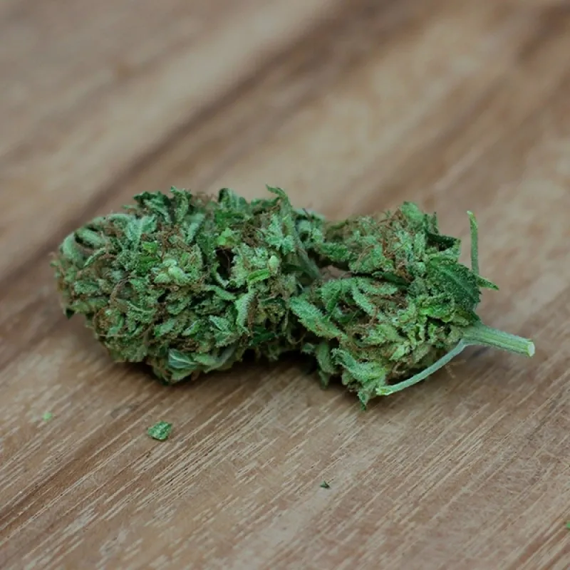 Sweet Harlem Diesel — immagine 2