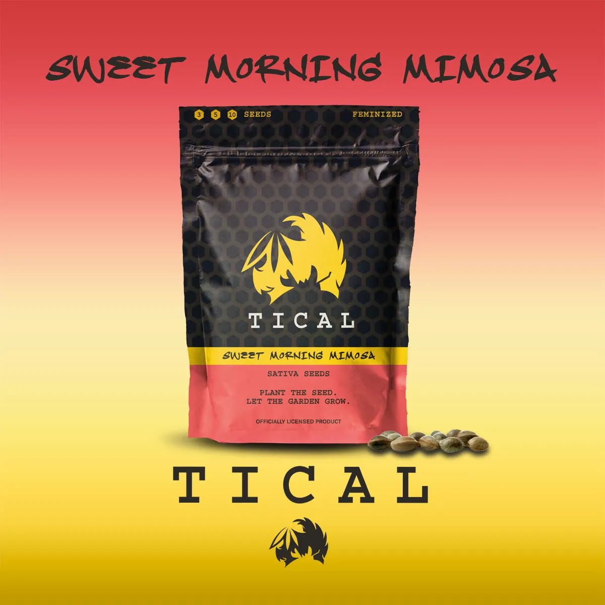 Sweet Morning Mimosa (TICAL) — immagine 2
