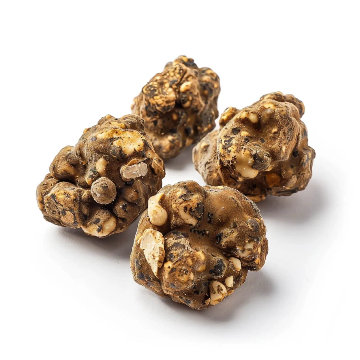 Tartufi Magici Tampanensis — immagine 2