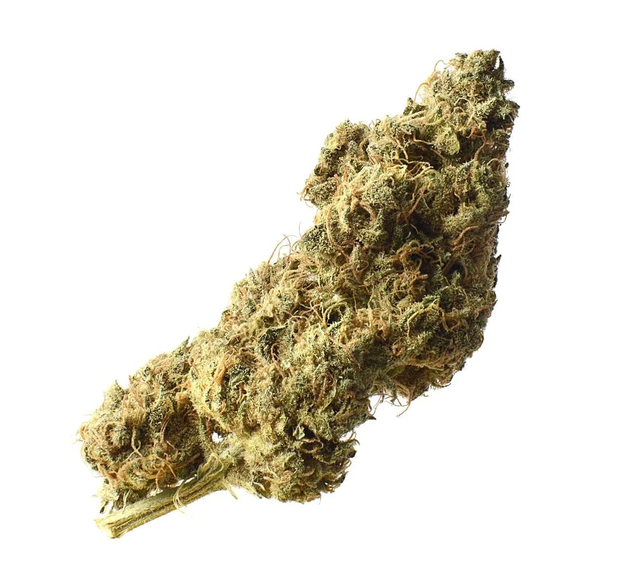 White Choco Haze — immagine 2