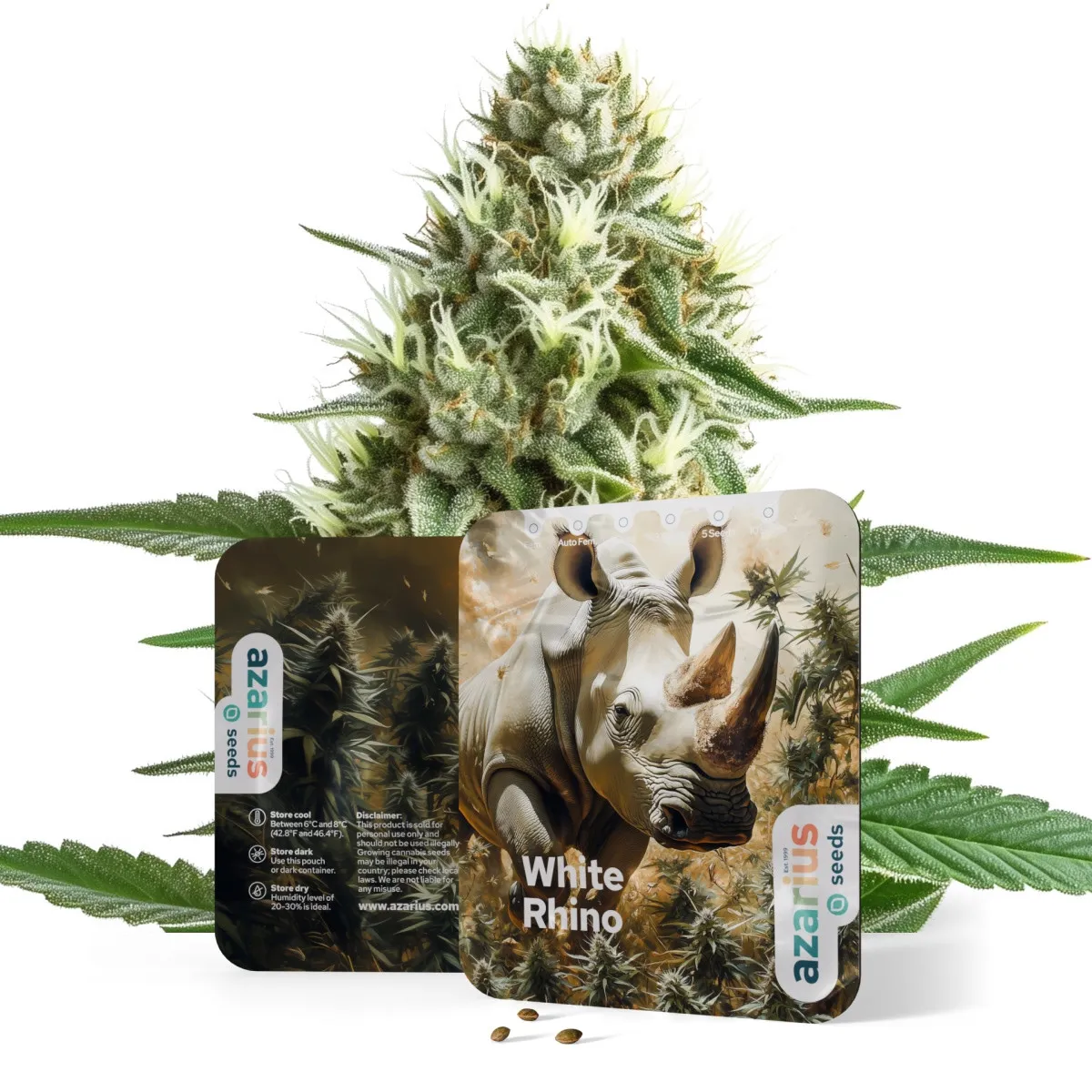 White Rhino Auto