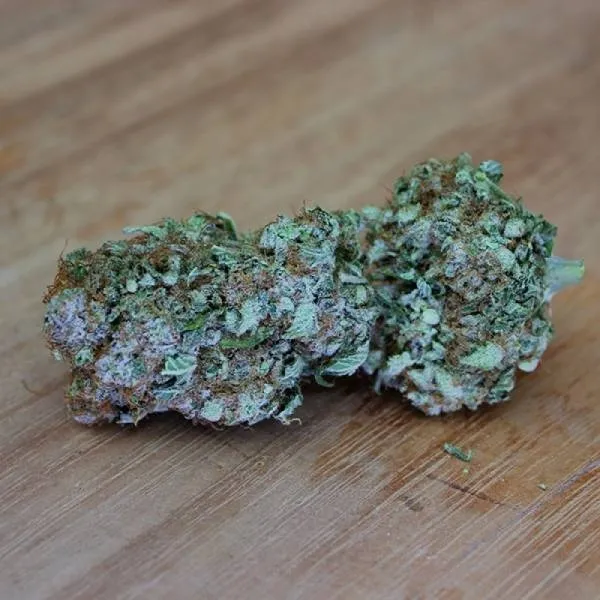 White Widow Original — immagine 3