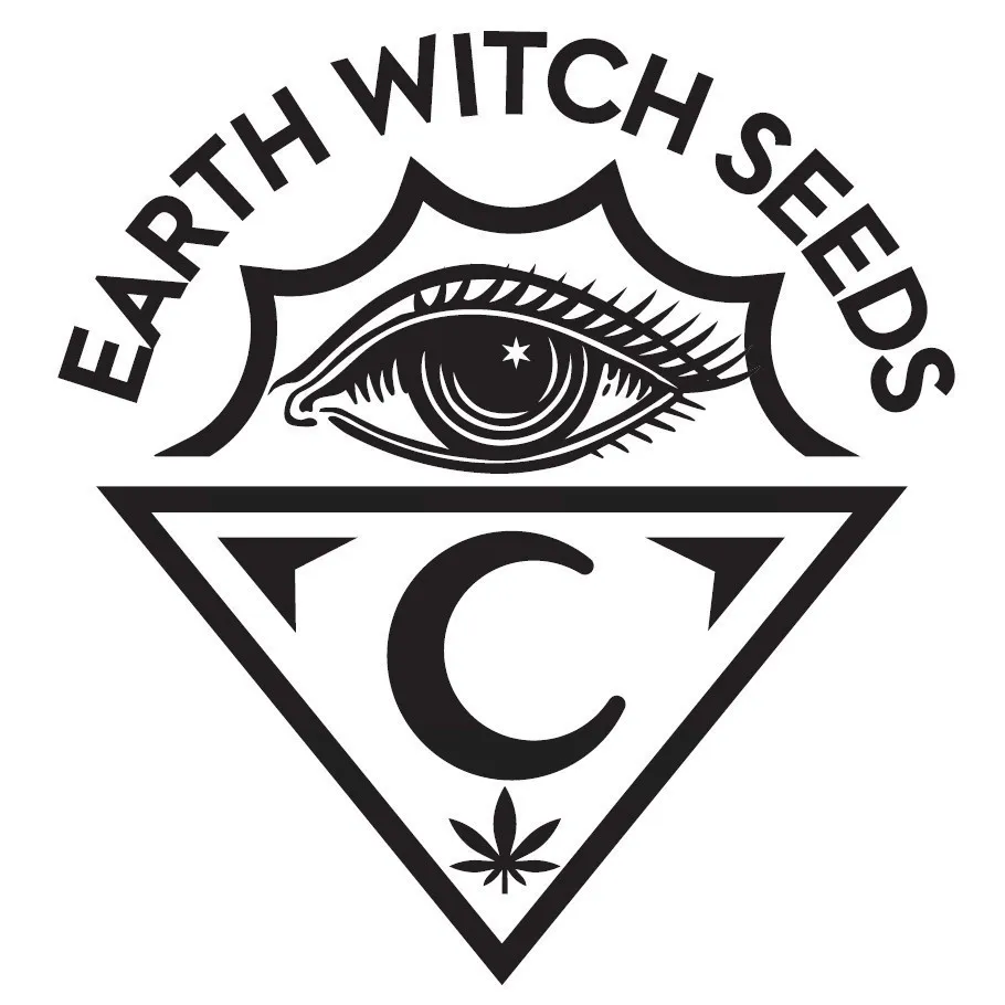 Witchy Wonder — immagine 2