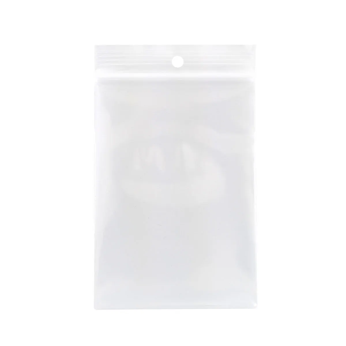 Sacchetti con chiusura Zip (100 pz)